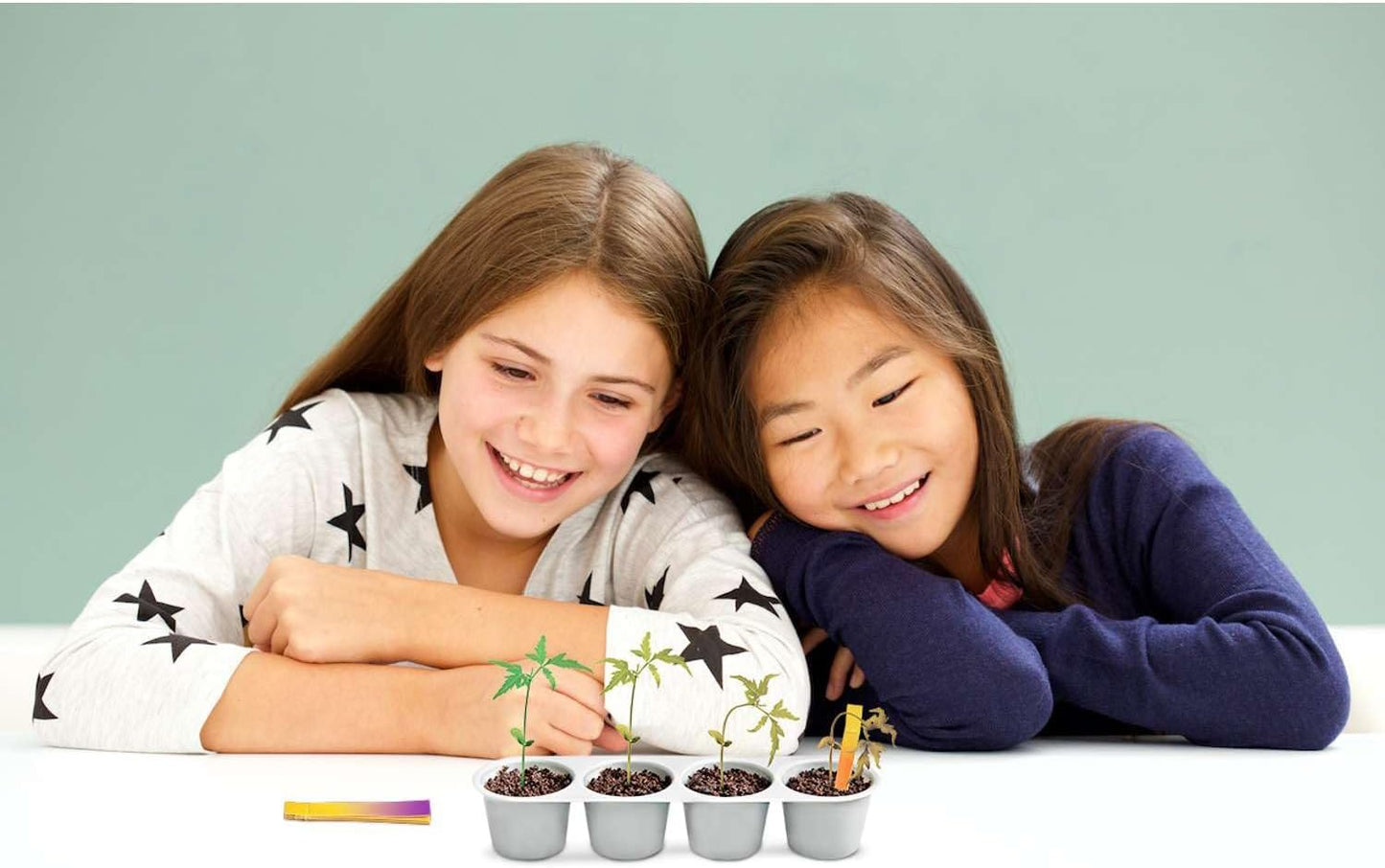 Make Your Own Weather Science Kit