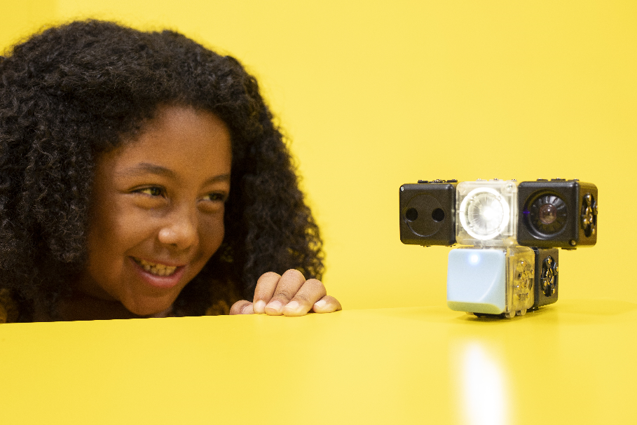 Cubelets Discovery Set