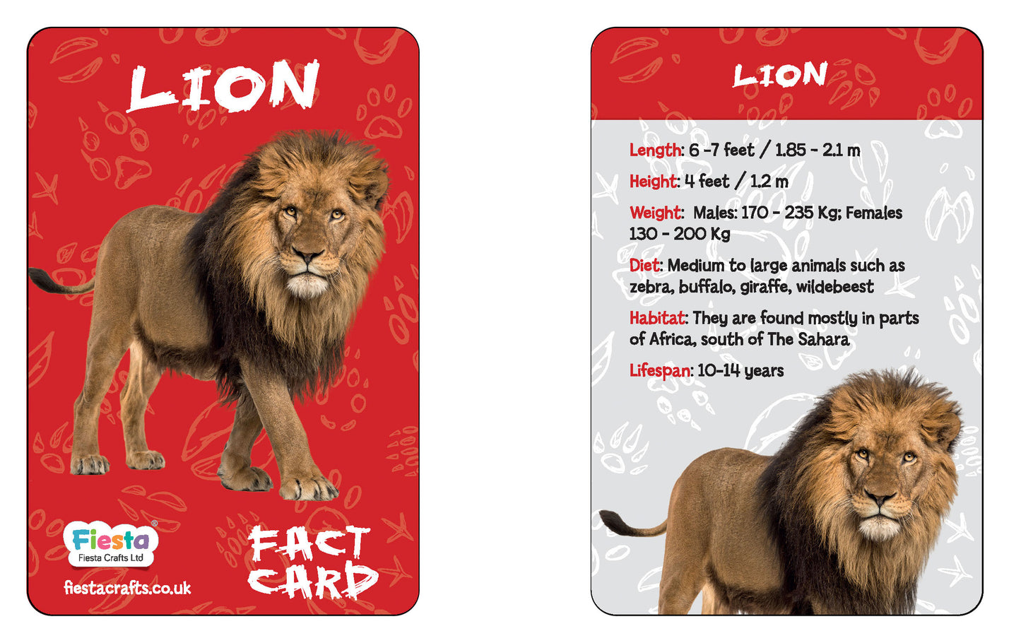 Lion Wood and Clay Craft Kit