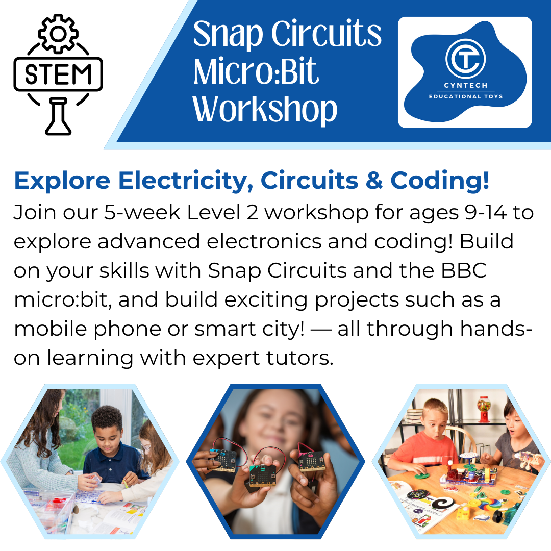 Snap Circuits Micro:Bit Workshop Level 2