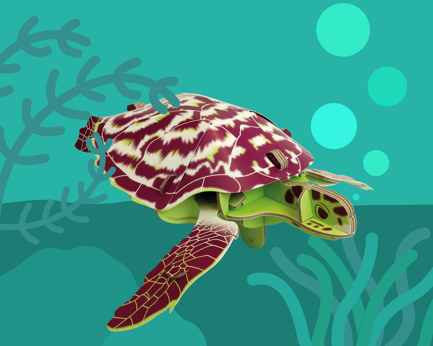 Build Your Own Moving Turtle