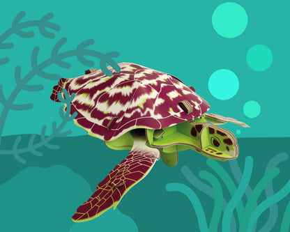 Build Your Own Moving Turtle