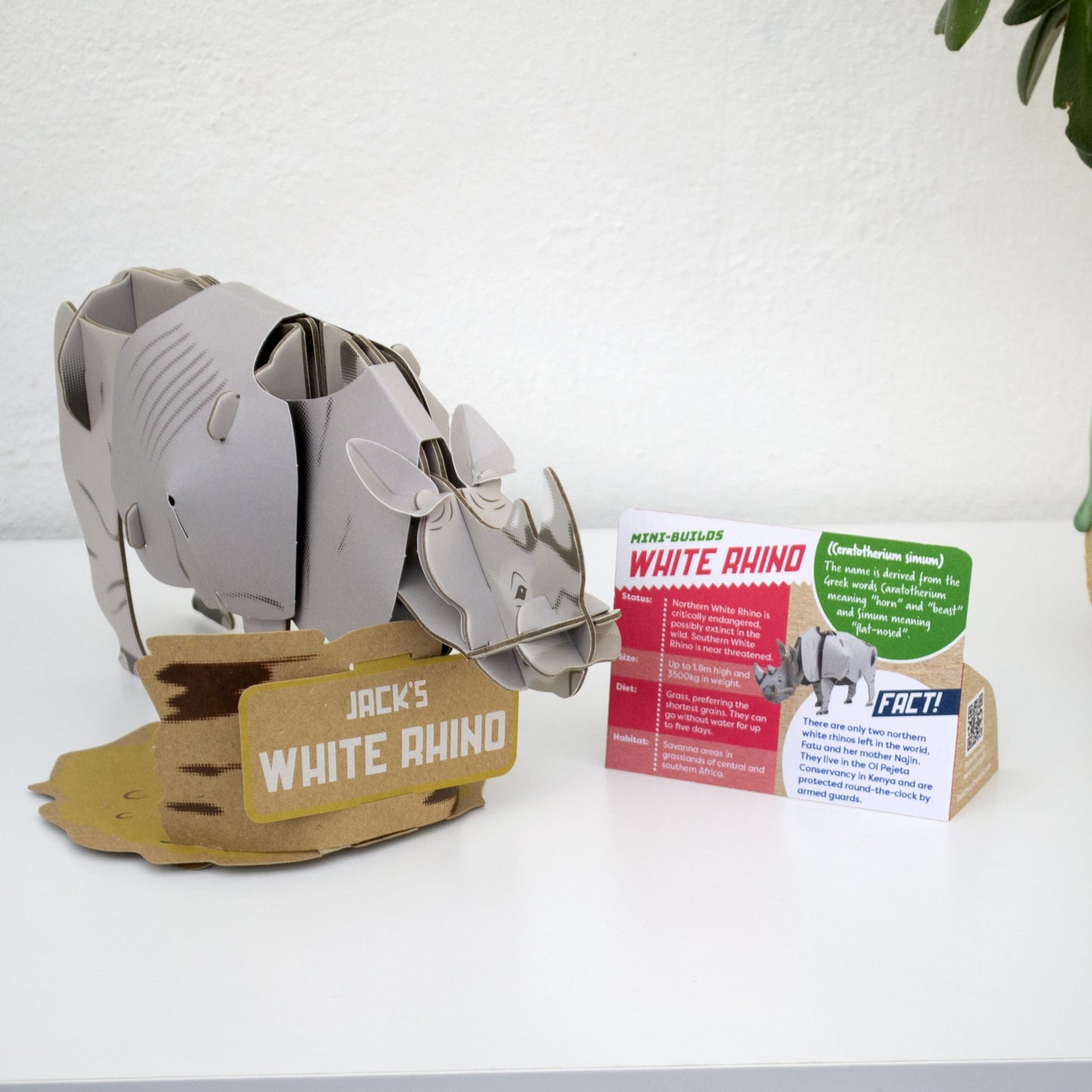 Build Your Own Moving White Rhino