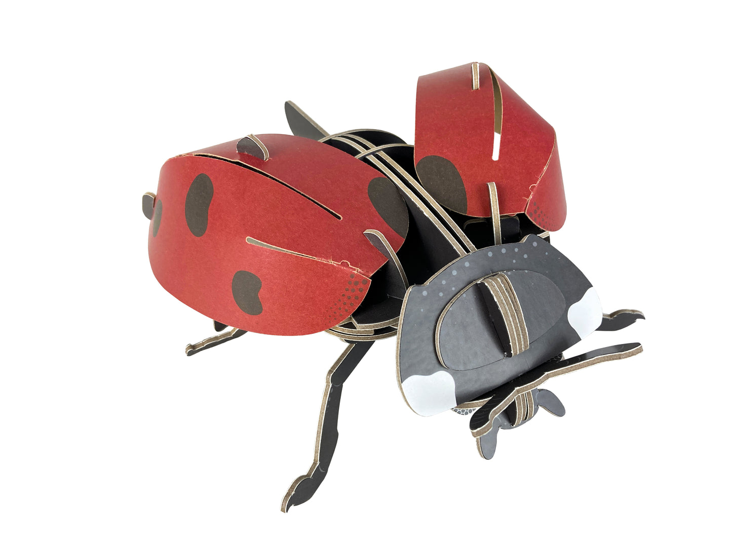 Build Your Own Moving Ladybird