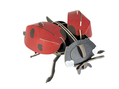 Build Your Own Moving Ladybird