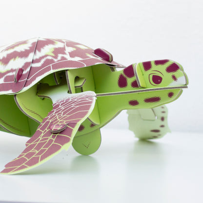 Build Your Own Moving Turtle