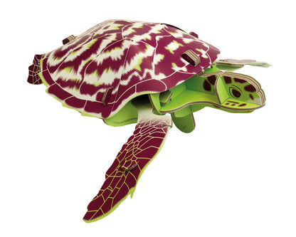 Build Your Own Moving Turtle
