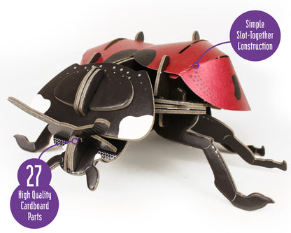 Build Your Own Moving Ladybird