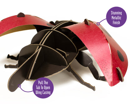 Build Your Own Moving Ladybird
