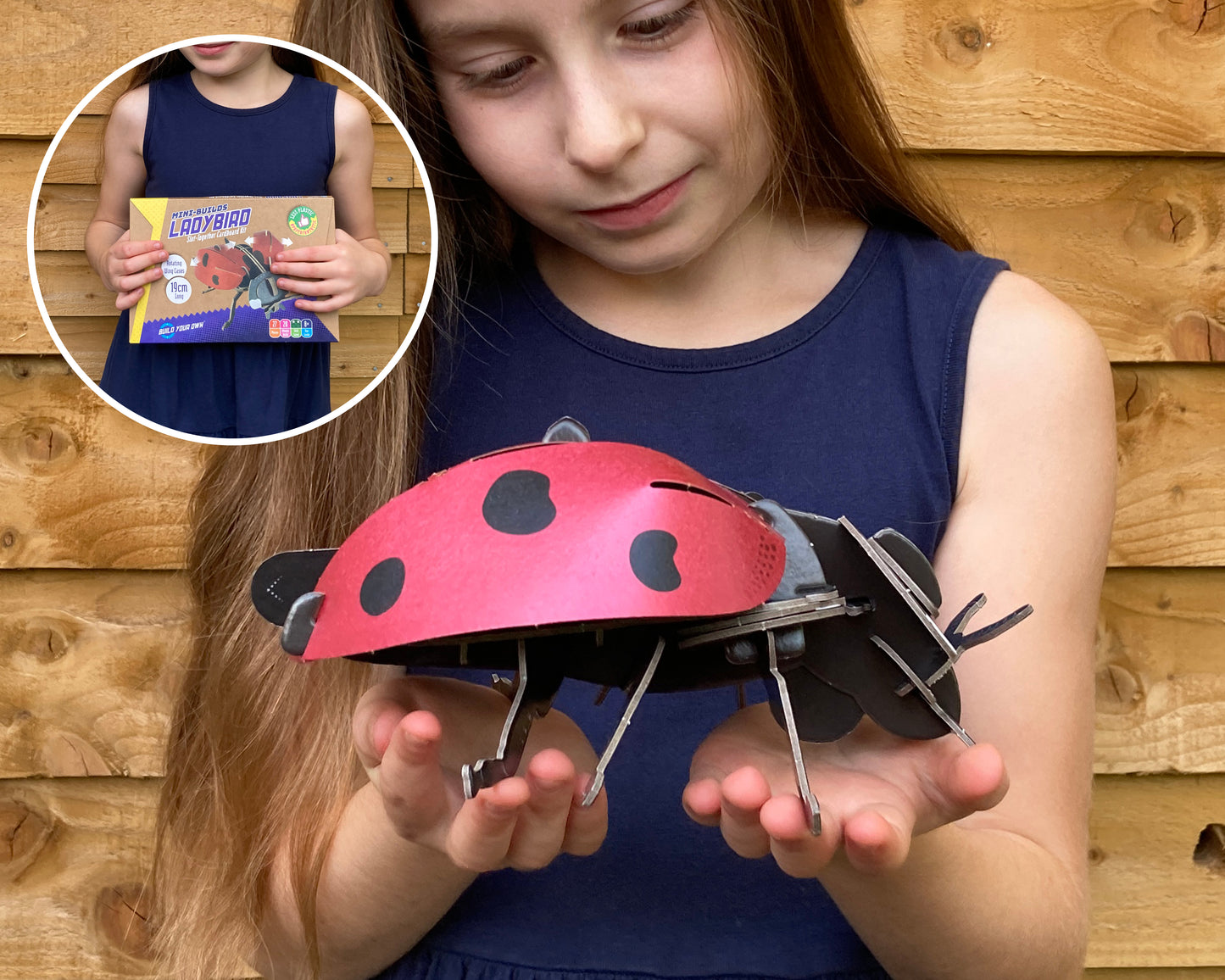 Build Your Own Moving Ladybird