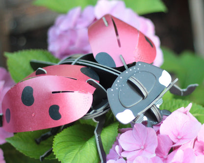 Build Your Own Moving Ladybird