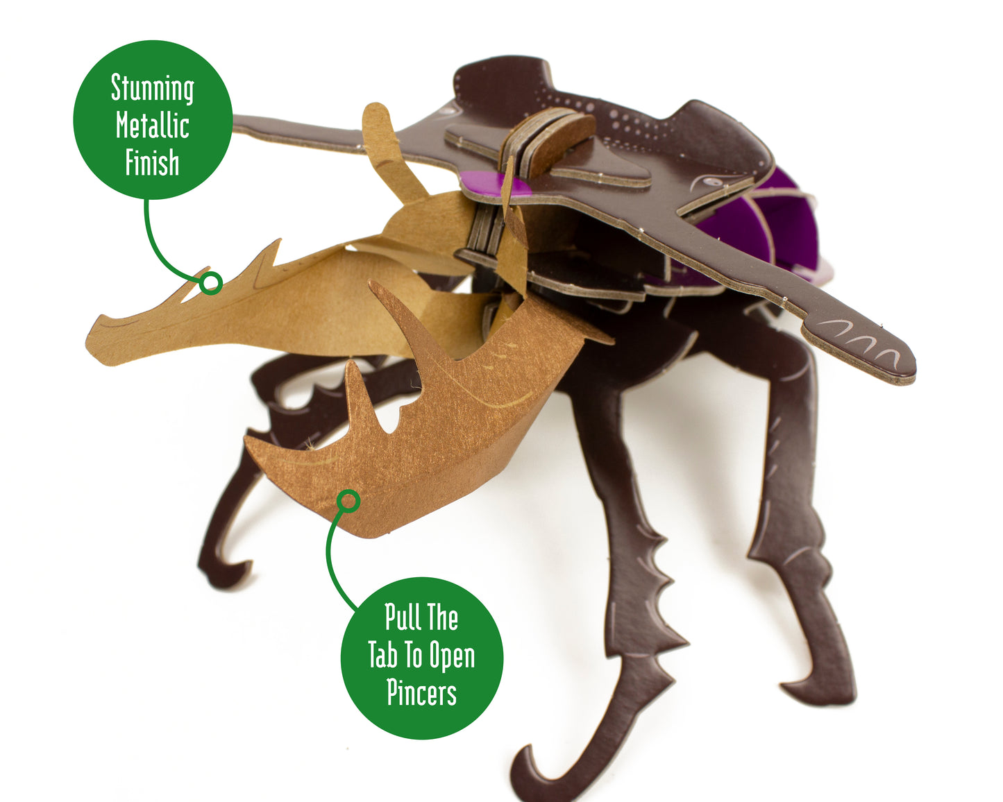 Build Your Own Moving Stag Beetle