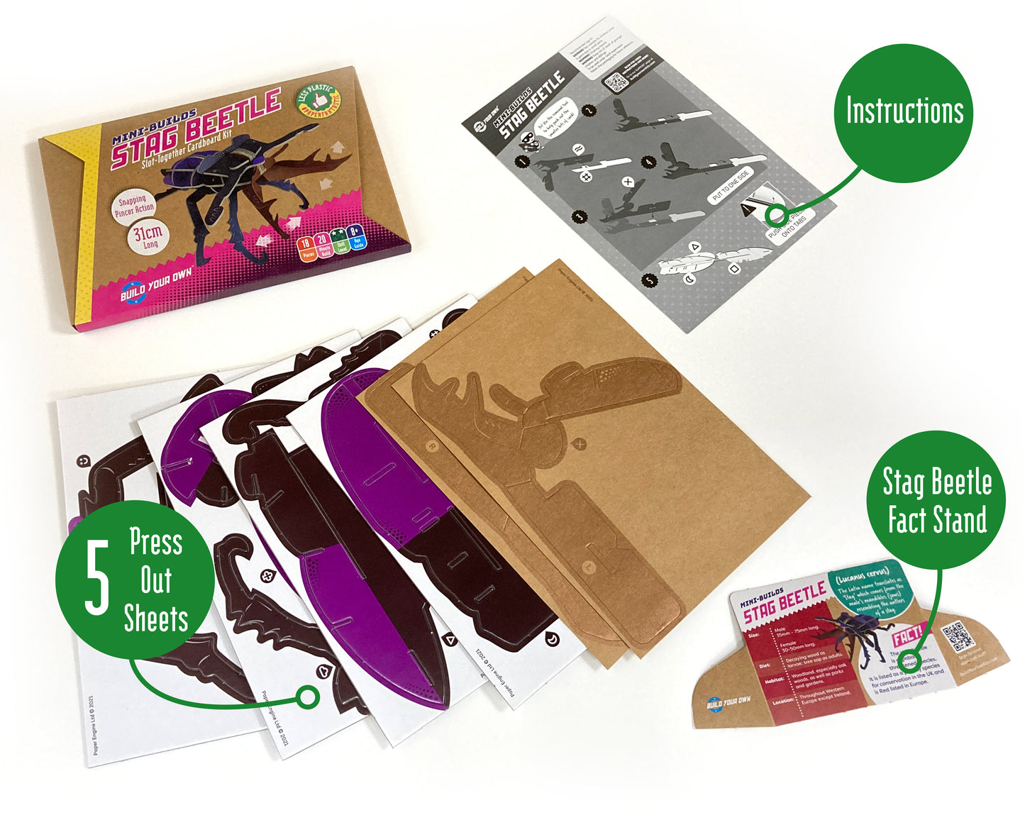 Build Your Own Moving Stag Beetle