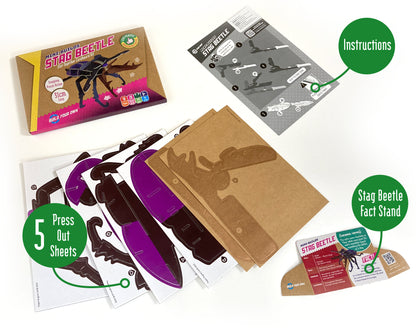 Build Your Own Moving Stag Beetle