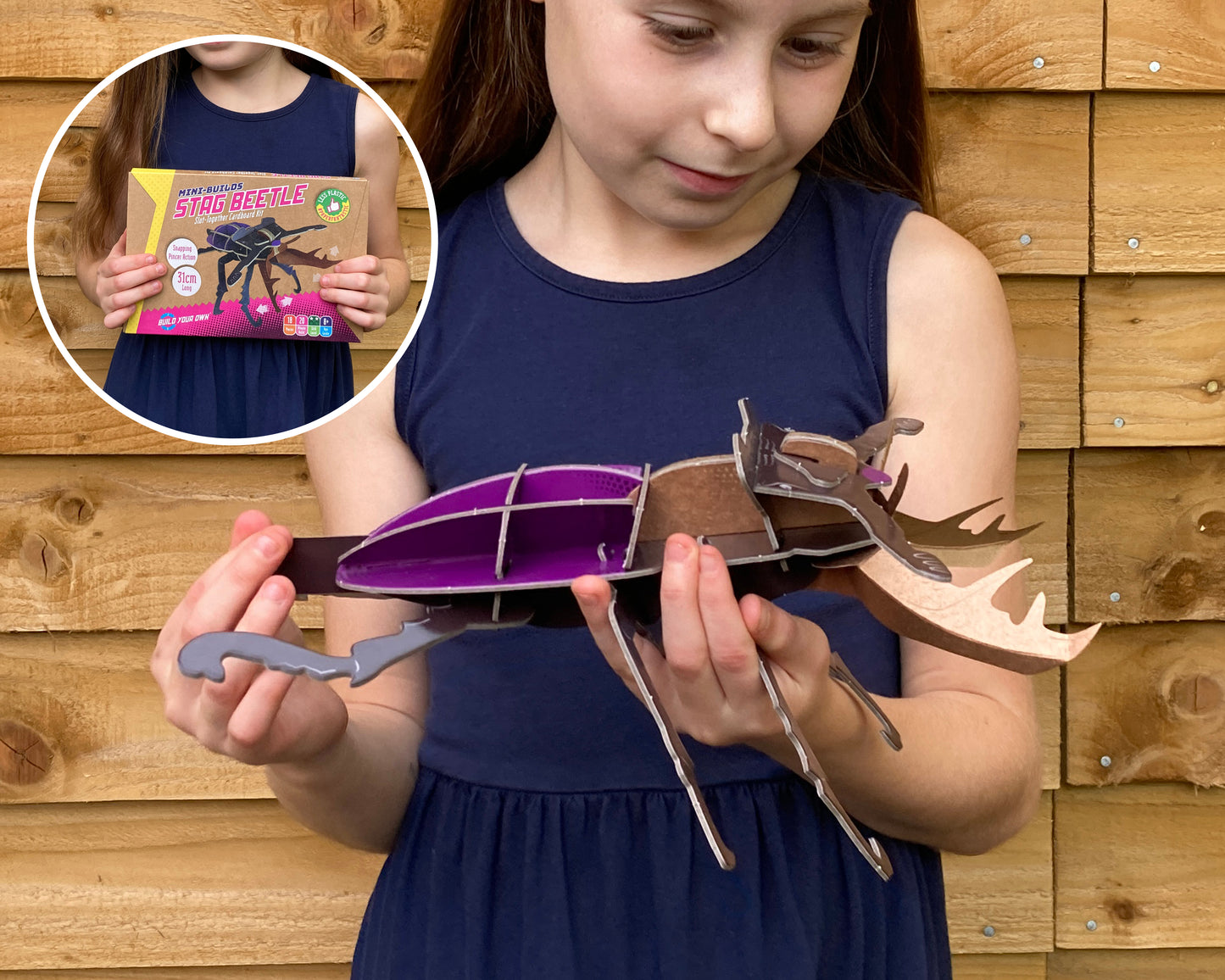 Build Your Own Moving Stag Beetle