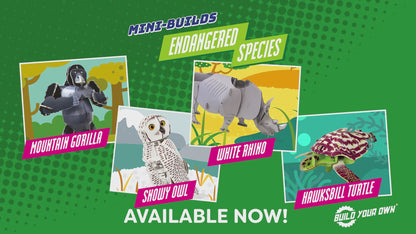 Build Your Own Moving Turtle