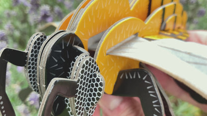 Build Your Own Moving Stag Beetle